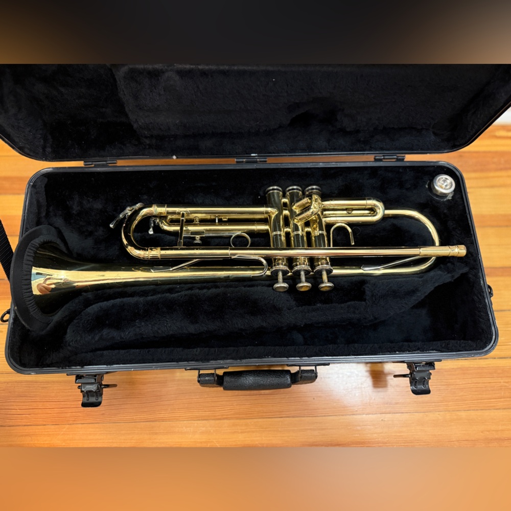 Trumpet in case, folding adjustable stand in carrying bag as shown.